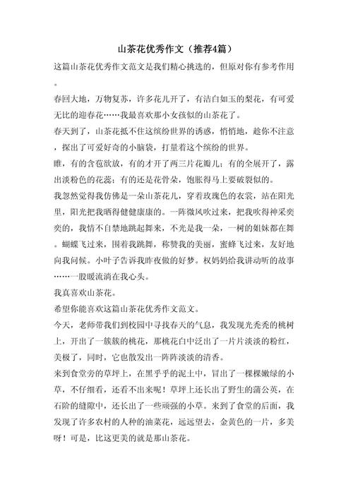 茶花作中考作文500字