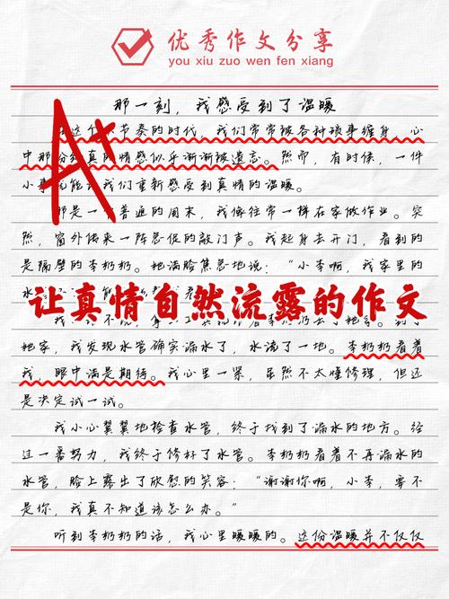 让真情自然流露作看图作文感动500字（合集18篇）
