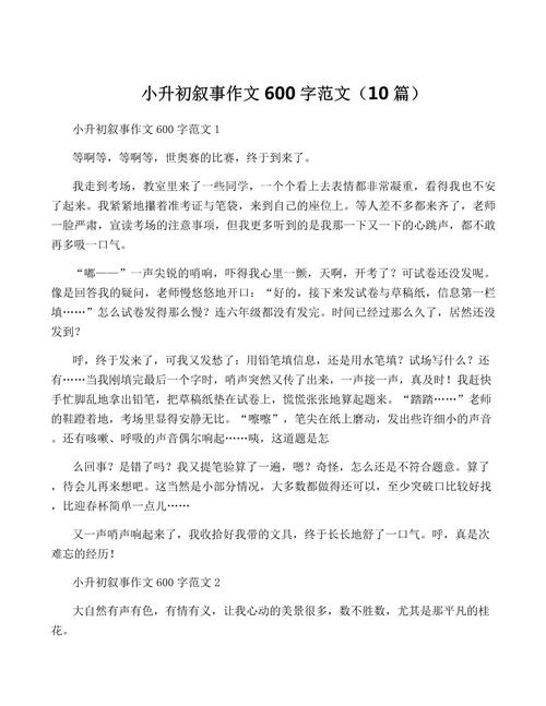试卷分析作小升初作文600字初一精选