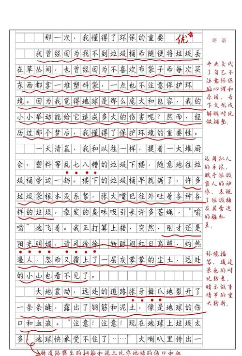 试卷分析作小升初作文600字初一精选