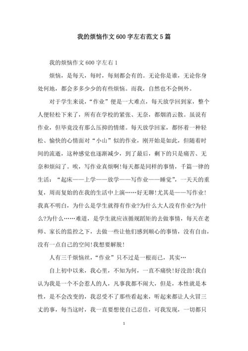 说说我的高中作烦恼作文600字