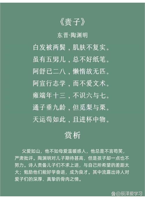 读懂父爱