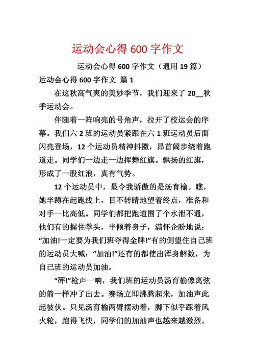 运动会作高中作600字点面结合