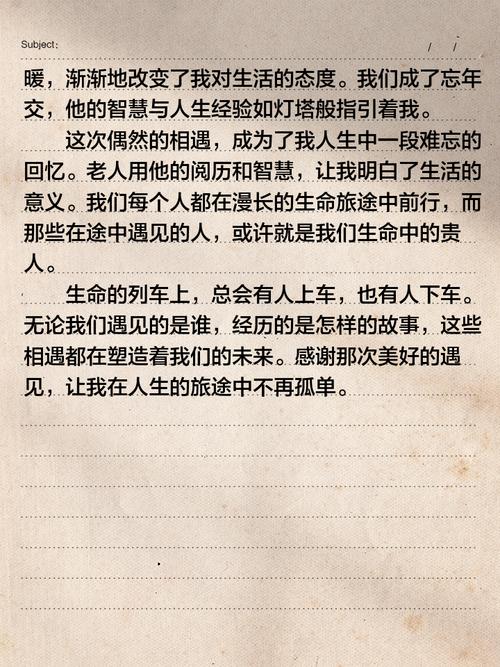 遇见作优秀作文600字初二叙事