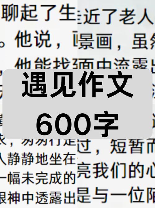 遇见作优秀作文600字初二叙事