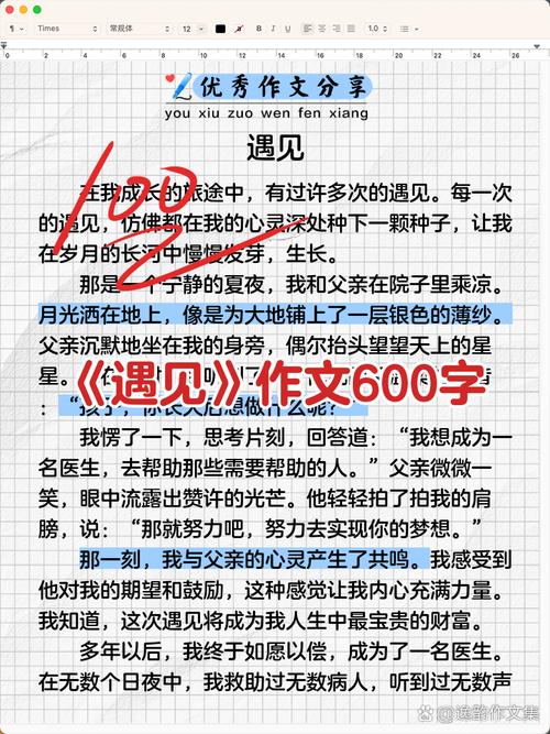 遇见作高中作600字初一写人
