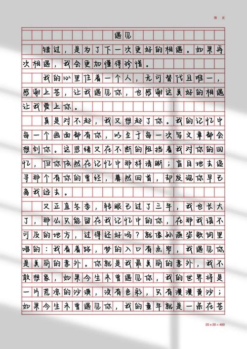 遇见作高中作600字初一写人