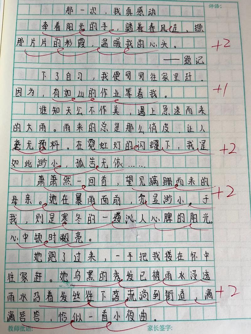 那一次真感动作小升初作文