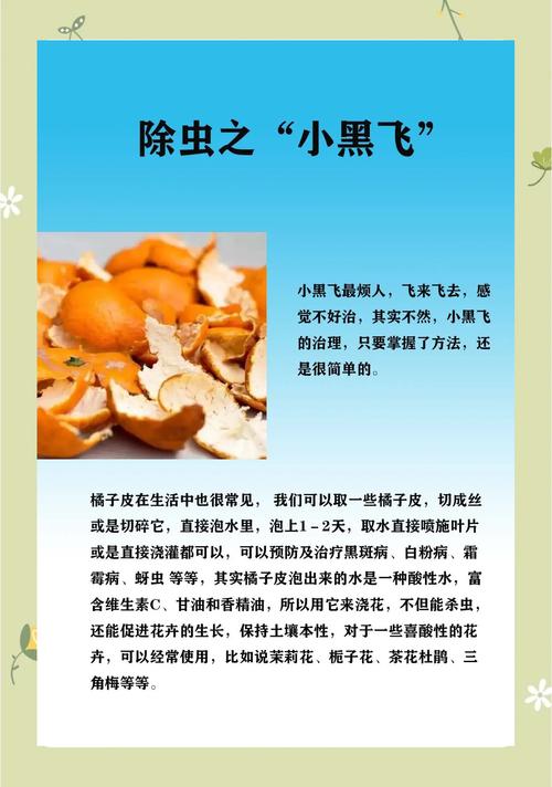 除虫行动作大学作