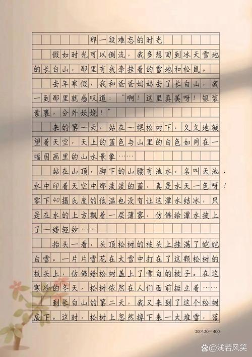 难忘的高中作初中时光作文