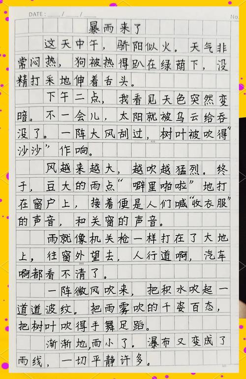雨小学三年中考作文作文