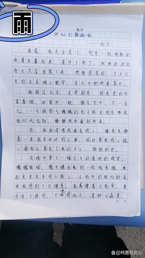 雨小学三年中考作文作文