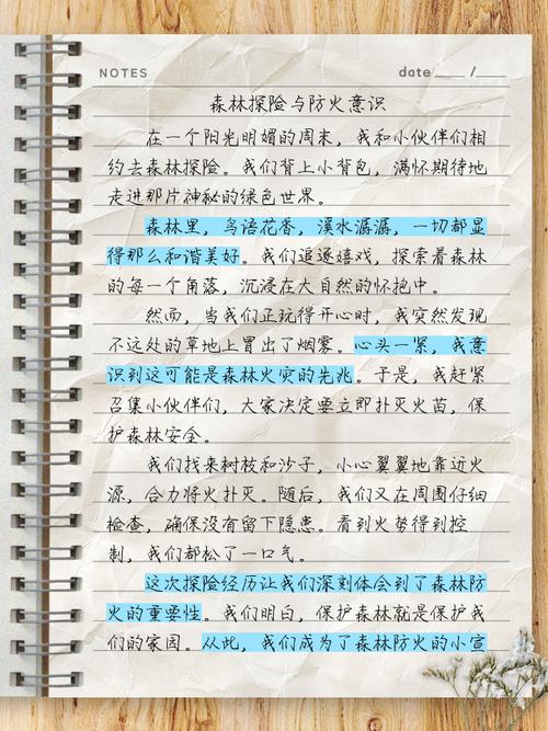 高中生森林防火作作文大全400字