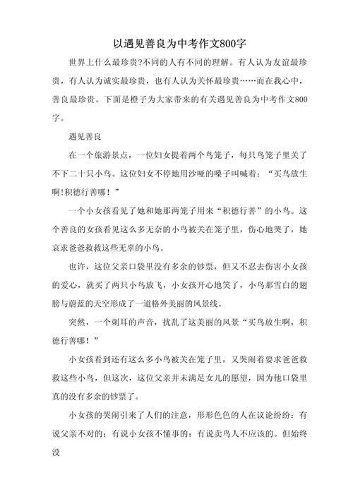 善良的小升初作文作文800字