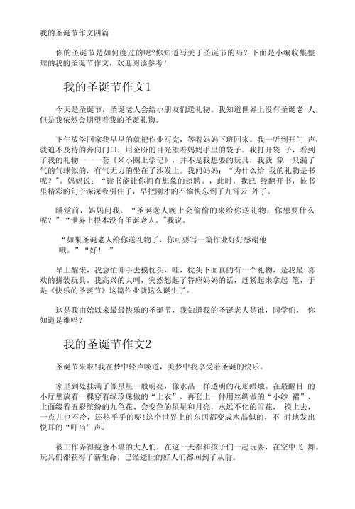 圣诞节初中作优秀作文