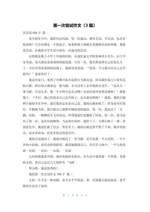 在尝试中成长作大学作900字