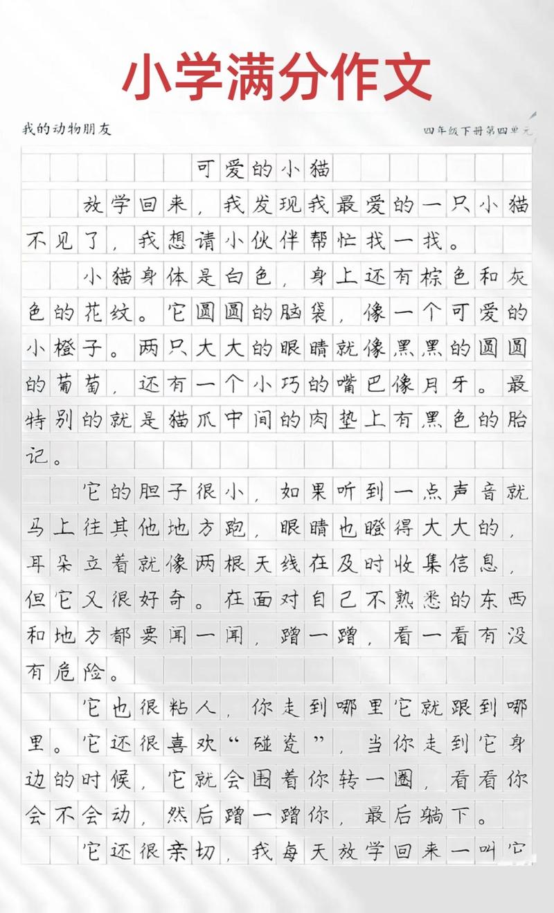 小学生作文可爱的作文素材小动物精选