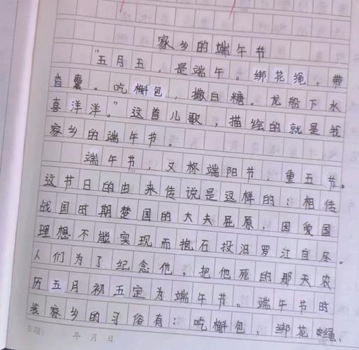 小学生愉快的六年级作文端午节作文450字（个人通用）
