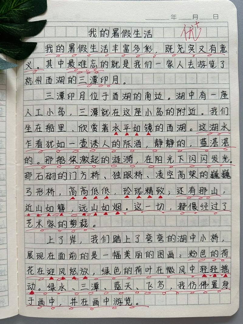 小学生我的中考作文暑假生活作文450字（精选15篇）