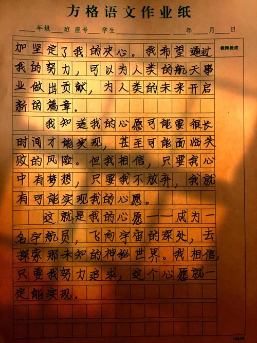 心愿作大学作600字初三当作家