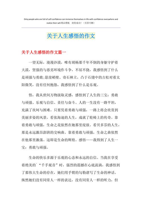 感悟人生高二满分作作文大全