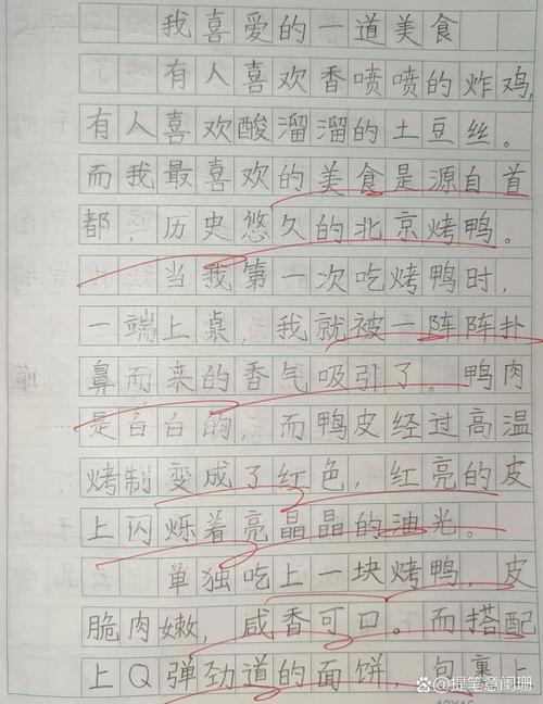 我家厨房的作文网味道