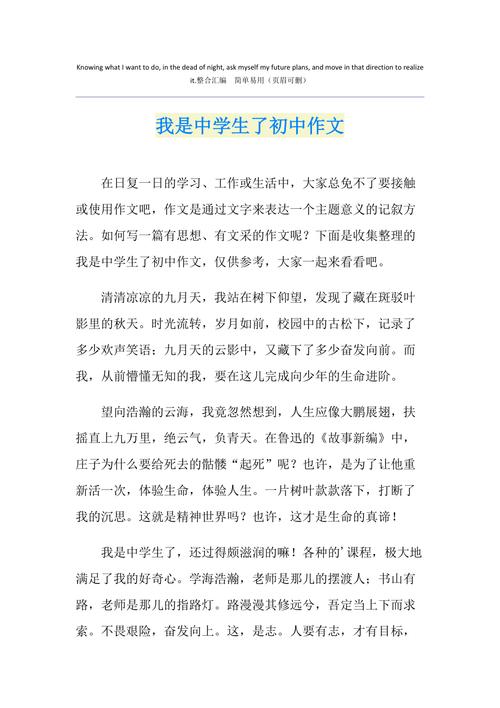 我是中学生了感觉真棒作高考作文500字