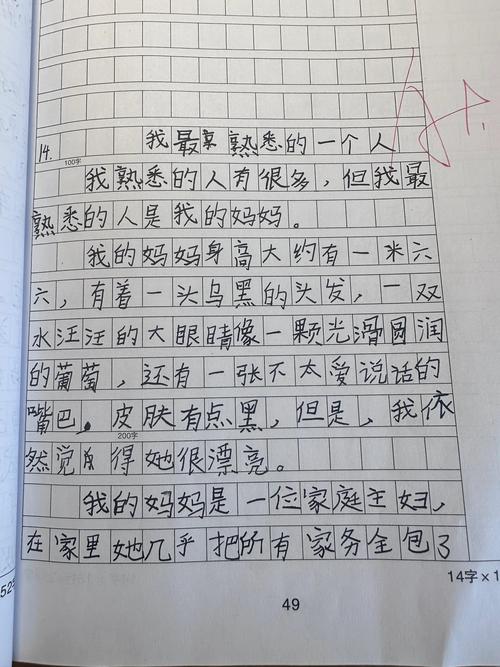 我最熟悉的高考作文一个人作文300字（个人通用）