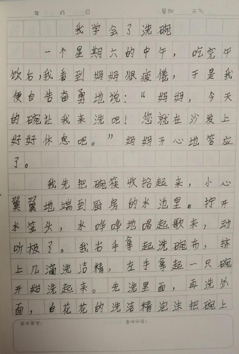 我的中考作文本领作文300字左右三年级