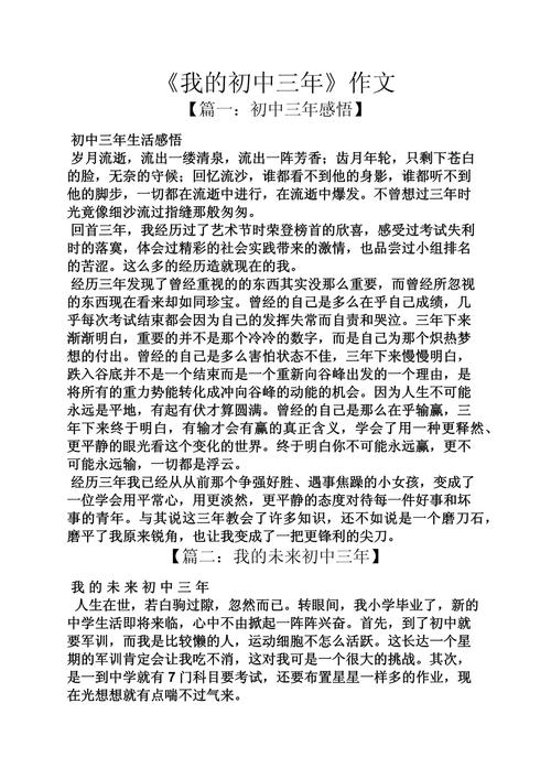 我的中考作文本领作文300字左右三年级