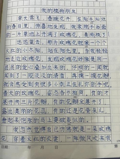 我的六年级作文植物朋友樱花作文200字实用