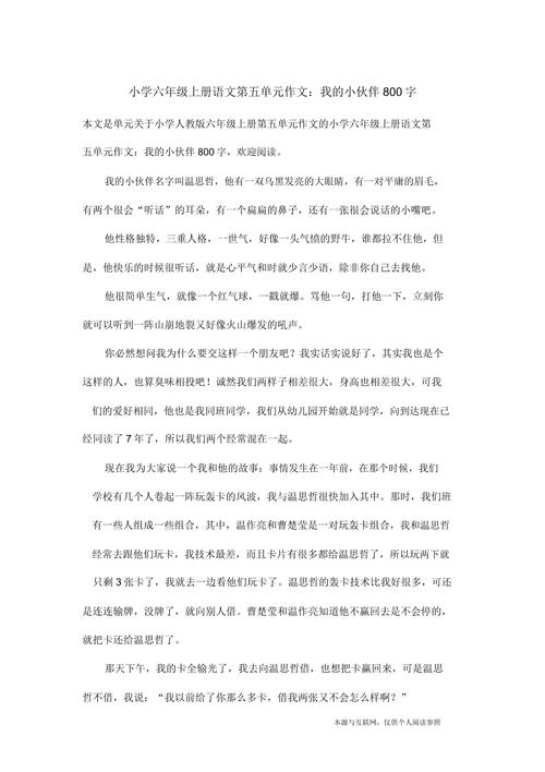 我的六年级作文选择作文800字