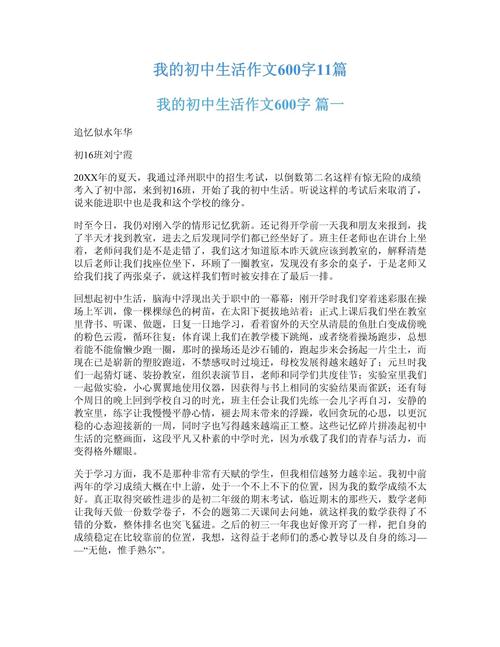 我的初中作未来初中优秀作文600字(精选)