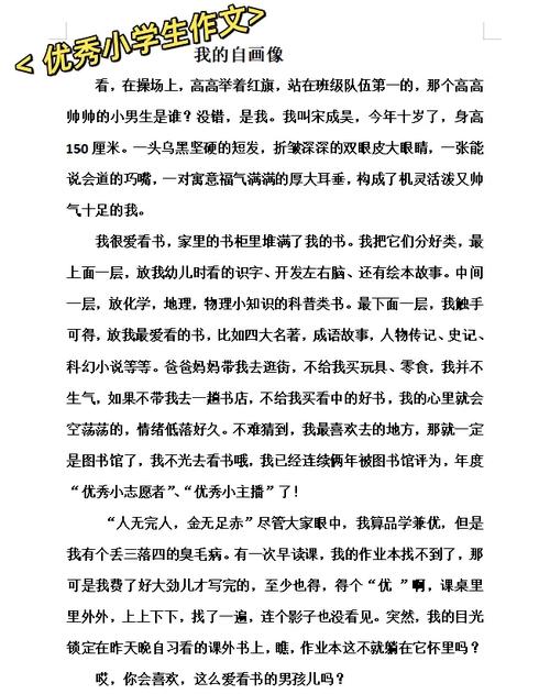 我的高中作自画像作文600字左右