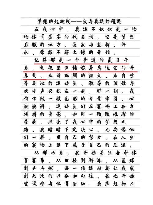 我眼中的高考作文2016里约奥运会作文