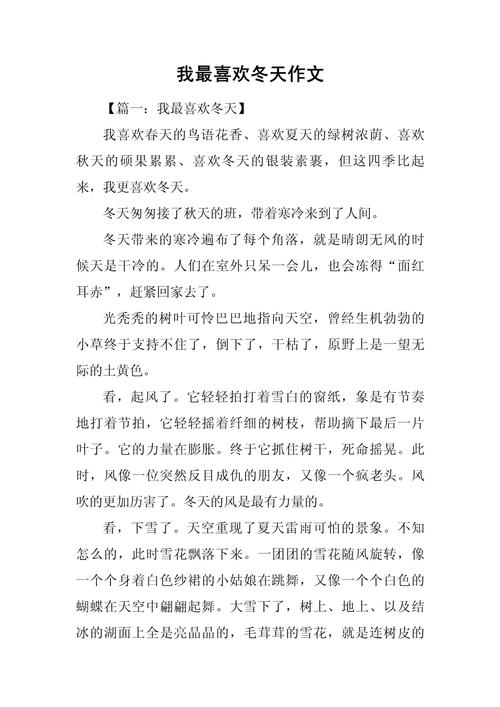 描写冬天的小升初作文作文(最新7篇)