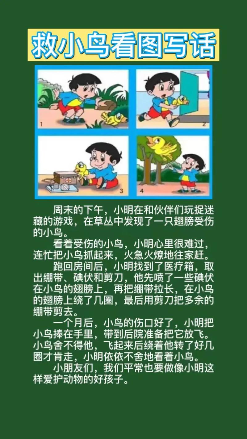 救小鸟小学二年高中作作文实用