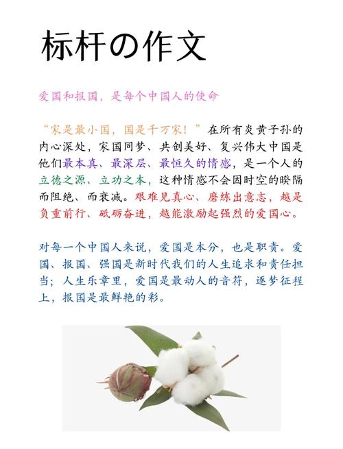 新疆高考作作文素材2018年题目公布