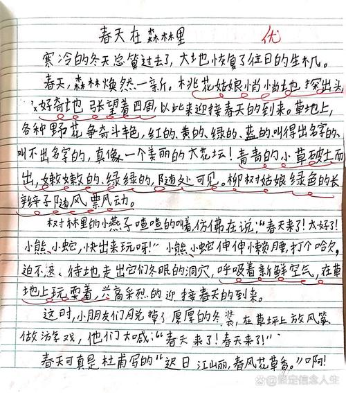 春天的作文大全森林作文200字精选