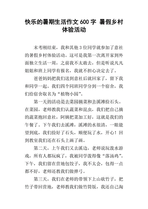 暑假快乐的高中作一天作文600