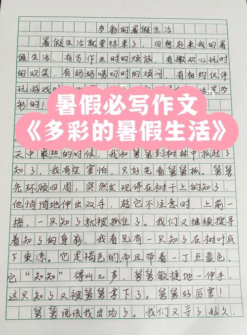 暑假的作文素材一天600字作文初一