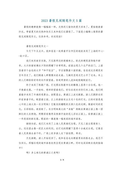 暑假见闻三年高中作作文锦集