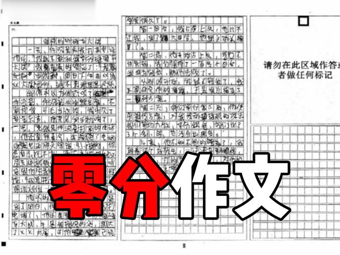 最牛考生入选零分作优秀作文