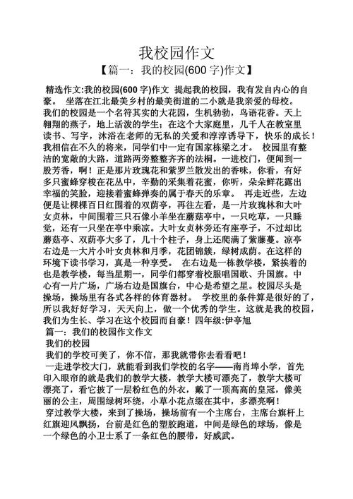 校园生活作文800字高中二年作文素材(实用4篇)