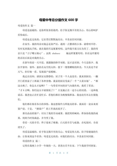 母亲的中考作文陪伴作文600字