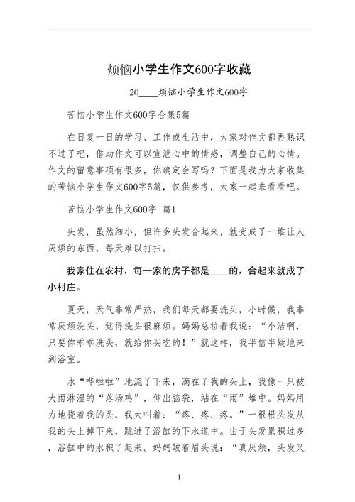 烦恼小学生作小升初作文