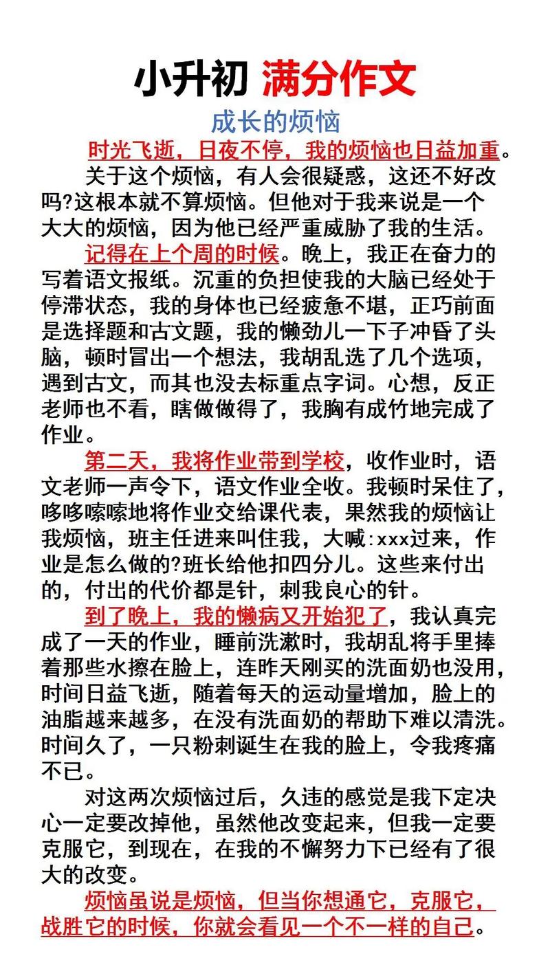 烦恼小学生作小升初作文