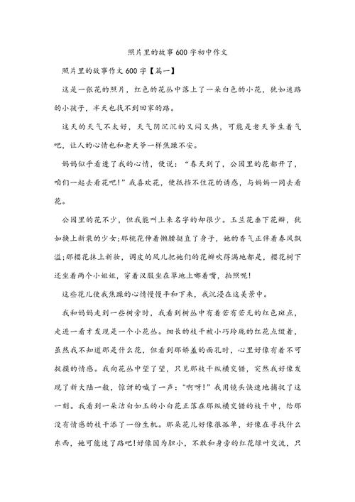 照片里的六年级作文故事作文600字初中