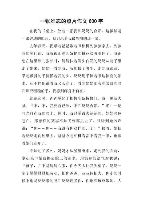 照相作高中作作文600字