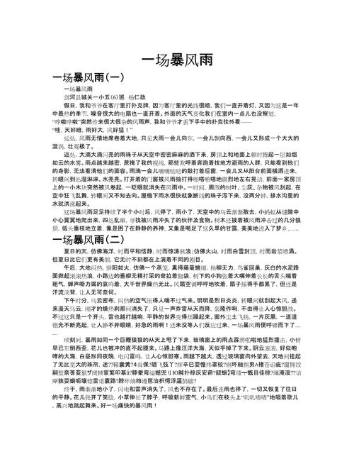 狂风暴雨的小学作作文600字初中